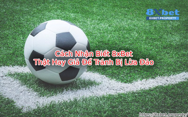 Cách nhận biết 8xBet Thật hay giả Cách nhận biết 8xBet Thật hay giả